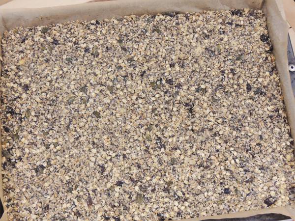 musli-plech
